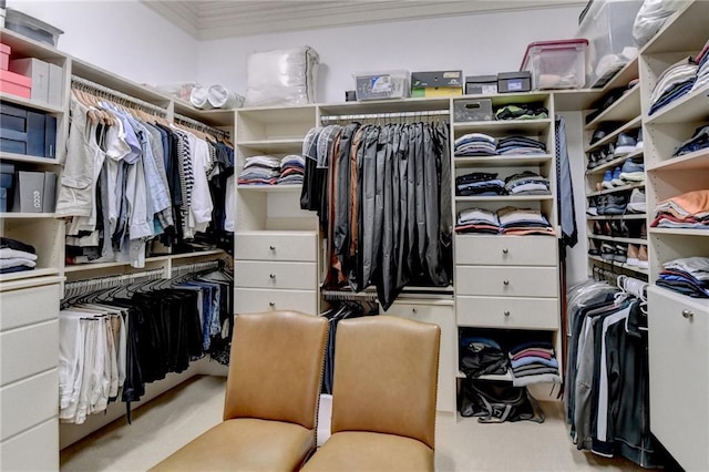 8340 Royal Melbourne Way, Duluth, GA 30097 - view of spacious closet