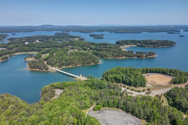 9110 Greenway Ct, Gainesville, GA 30506 - bird's eye view of a heavily wooded area and a nearby body of water