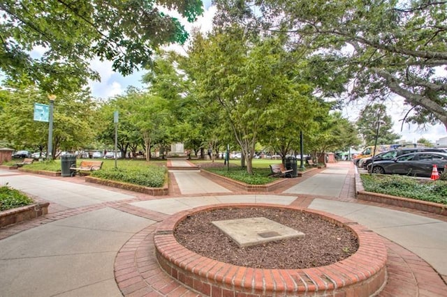 9110 Greenway Ct, Gainesville, GA 30506 - view of surrounding community