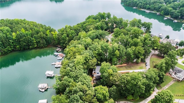 6178 Lake Lanier Height Rd, Buford, GA 30518 - aerial view of a large body of water