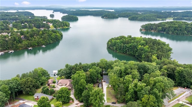 6178 Lake Lanier Height Rd, Buford, GA 30518 - bird's eye view of a large body of water