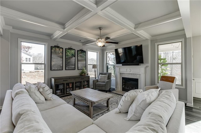 living area with a premium fireplace, wood finished floors, coffered ceiling, beam ceiling, and ceiling fan