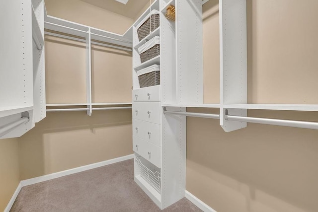 walk in closet with light colored carpet