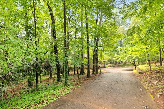 5680 Whitner Dr, Atlanta, GA 30327 - view of road