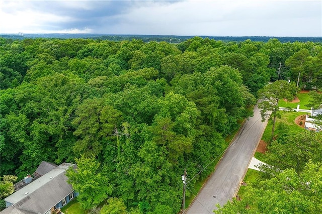 5680 Whitner Dr, Atlanta, GA 30327 - drone / aerial view of a forest
