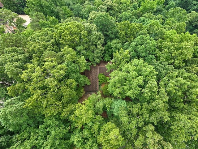 5680 Whitner Dr, Atlanta, GA 30327 - aerial view of property's location