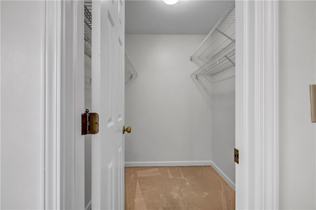 spacious closet with carpet floors