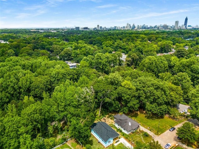 1317 Bernard St NW, Atlanta, GA 30314 - bird's eye view of a forest and city skyline