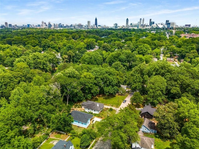 1317 Bernard St NW, Atlanta, GA 30314 - bird's eye view of city skyline and a forest