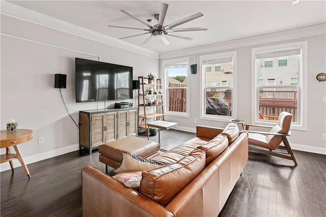 living room with crown molding, dark hardwood / wood-style floors, and ceiling fan