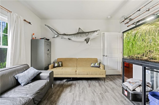 living room with hardwood / wood-style flooring