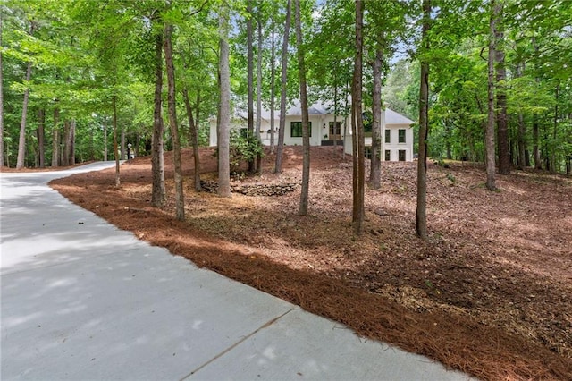 12995 Bucksport Dr, Roswell, GA 30075 - view of yard