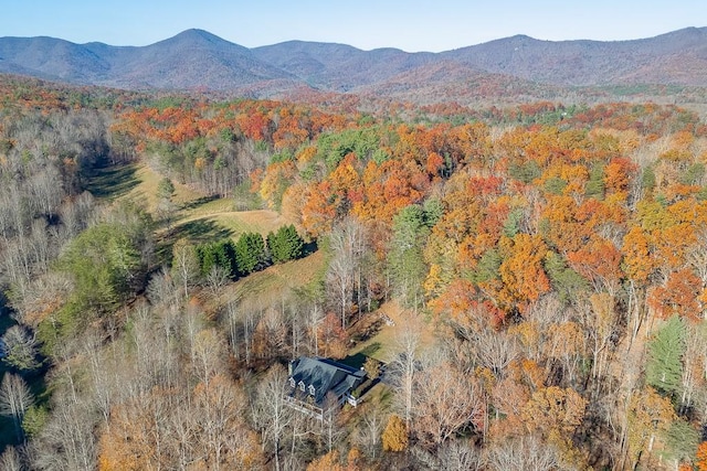 drone / aerial view with a mountain view