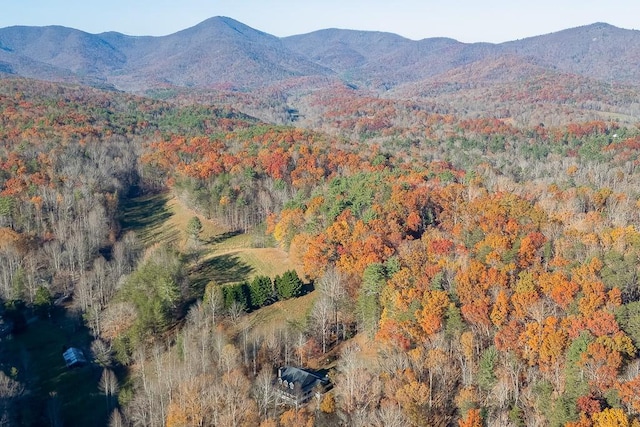 property view of mountains