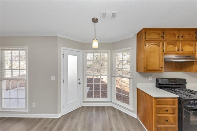 kitchen with black gas range oven, hanging light fixtures, a wealth of natural light, and light hardwood / wood-style flooring