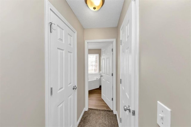 hall with carpet and a textured ceiling