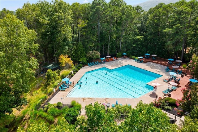 view of swimming pool with a patio area