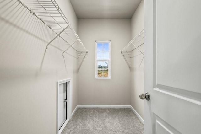 walk in closet featuring carpet