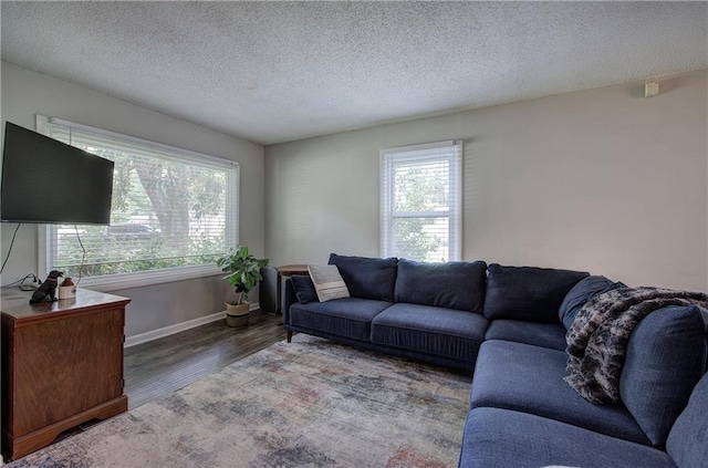 1837 Lochlomand Ln SE, Smyrna, GA 30080 - living room featuring wood finished floors, baseboards, and a textured ceiling