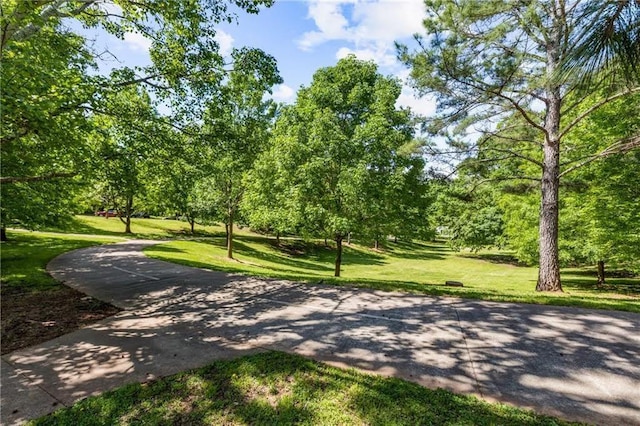 view of property's community featuring a yard