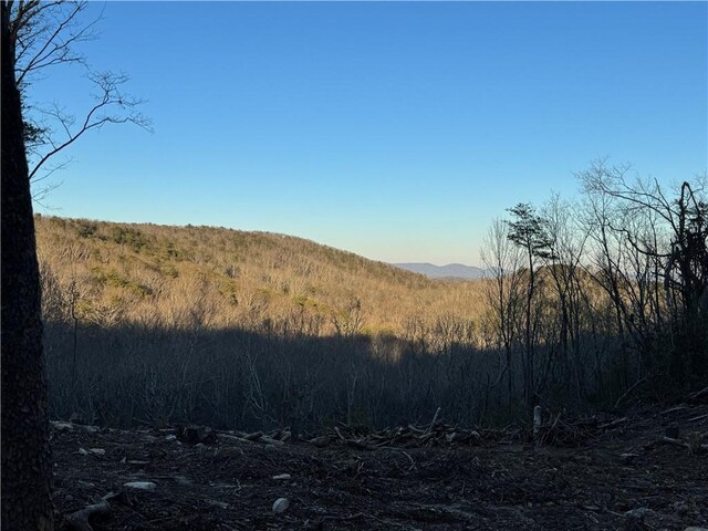 312 Oak Trce E, Jasper, GA 30143 - view of layout