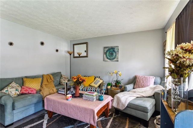 living room with a textured ceiling