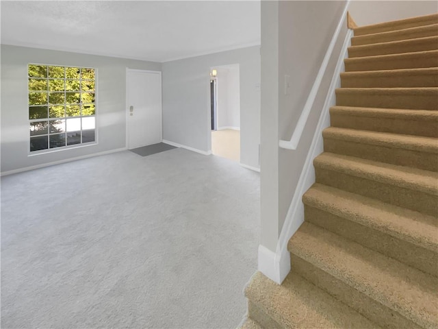 stairway with carpet flooring