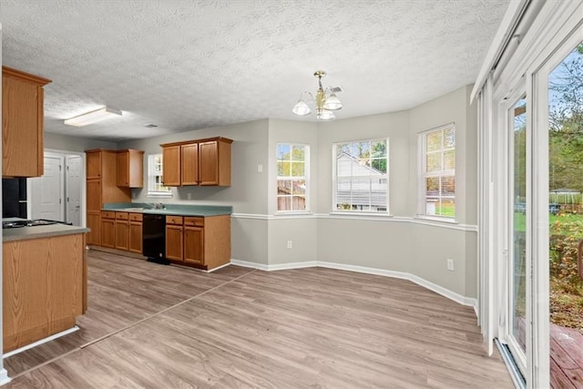 kitchen featuring pendant lighting, dishwasher, light wood-type flooring, and a chandelier