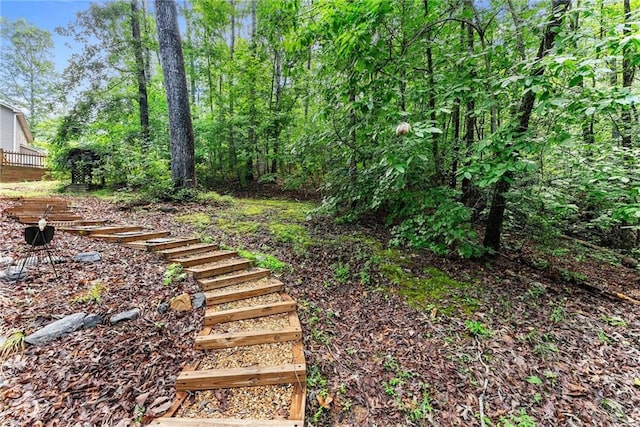 127 Walkabout Way, Dahlonega, GA 30533 - view of yard