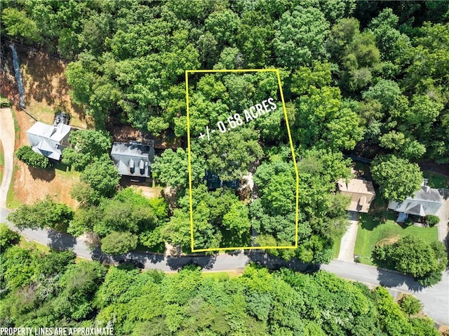 127 Walkabout Way, Dahlonega, GA 30533 - aerial overview of property's location featuring property boundaries highlighted