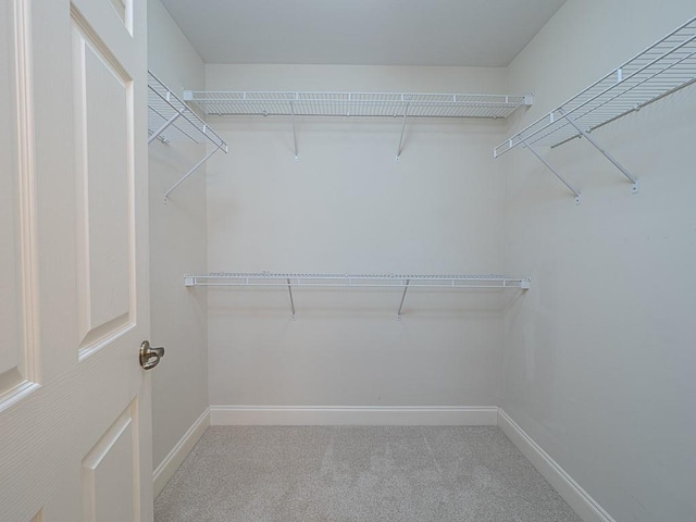 spacious closet featuring carpet