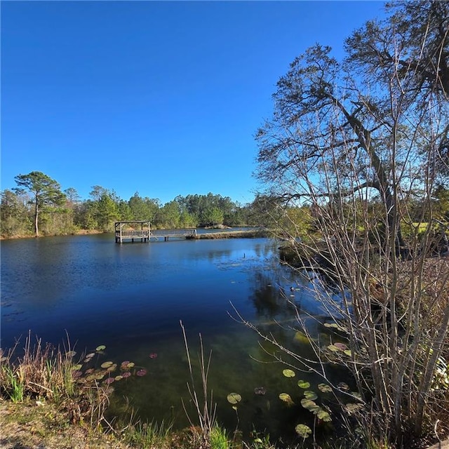 property view of water