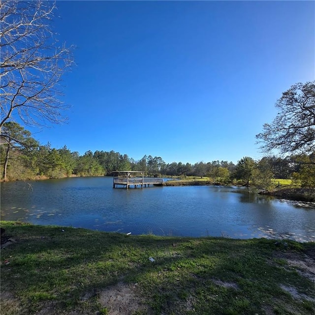 view of dock with a water view