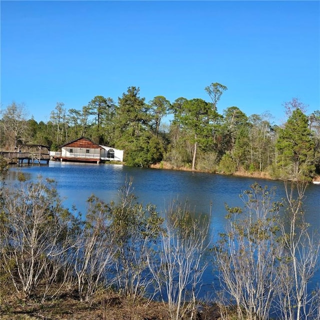 water view with a wooded view