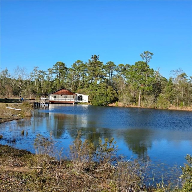 property view of water