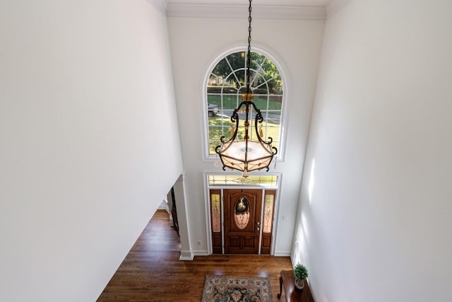 foyer entrance featuring wood finished floors, ornamental molding, baseboards, and a towering ceiling