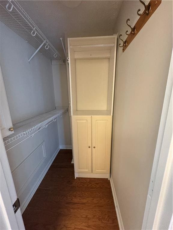 walk in closet featuring dark hardwood / wood-style flooring