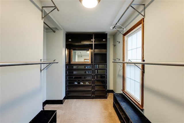 spacious closet featuring carpet