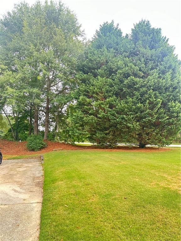 540 Langley Creek Dr, Loganville, GA 30052 - view of green lawn