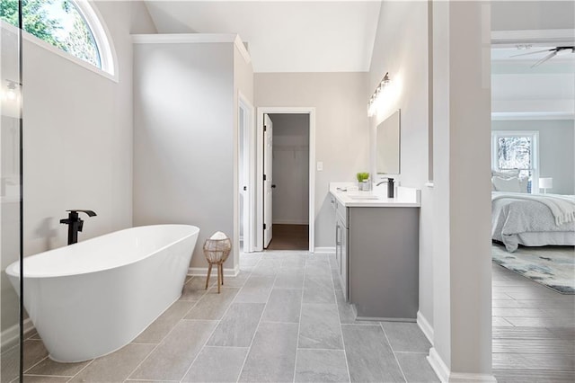 full bathroom featuring a freestanding tub, plenty of natural light, connected bathroom, and vanity