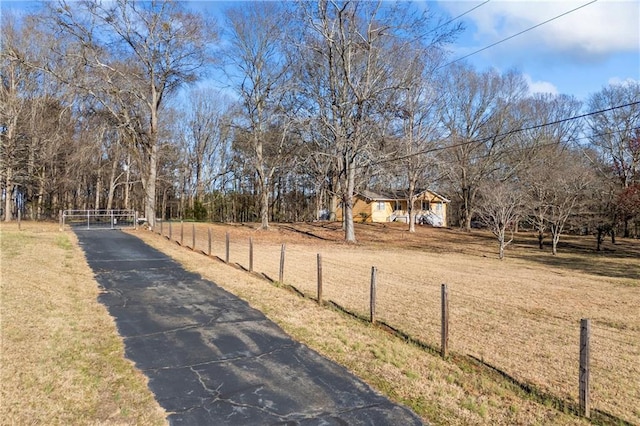 view of road with driveway, a gated entry, and a rural view