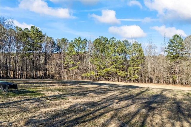 view of yard with a forest view