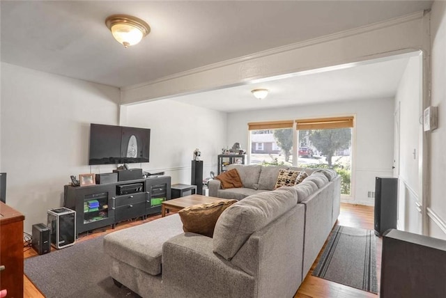 living room with crown molding and wood-type flooring