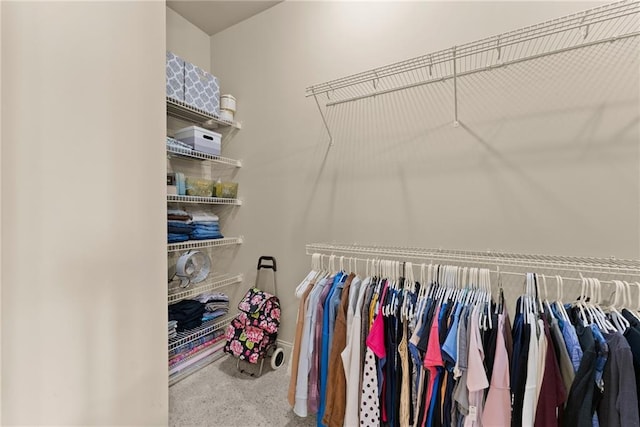 4729 Deer Creek Ct, Flowery Branch, GA 30542 - spacious closet featuring carpet