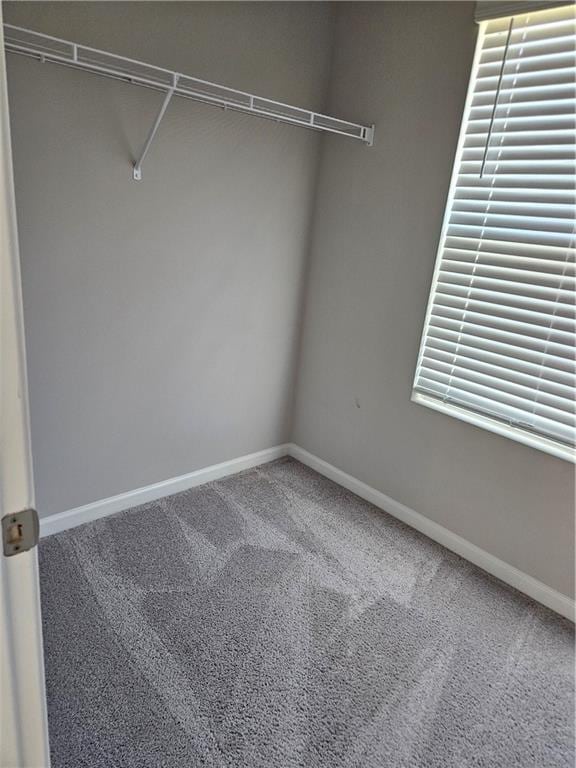 spacious closet featuring carpet flooring