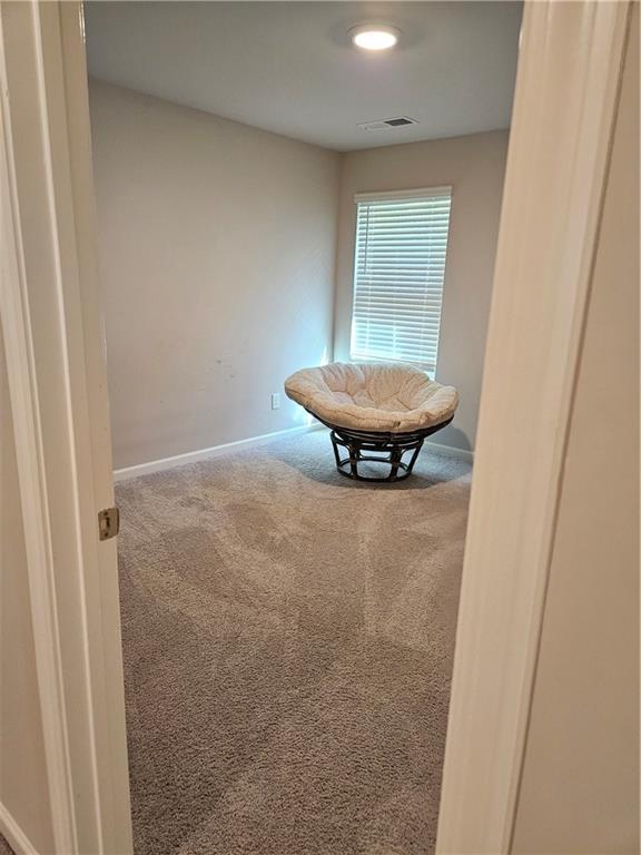 staircase featuring carpet flooring