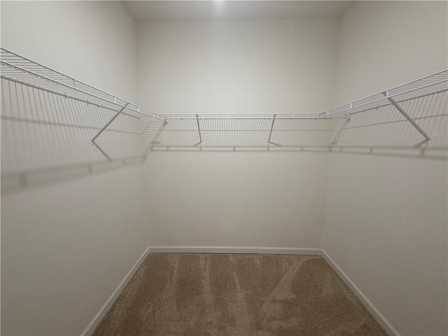 215 Barnyard Way, Perry, GA 31069 - walk in closet featuring carpet flooring