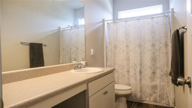 bathroom with vanity, wood finished floors, toilet, and curtained shower