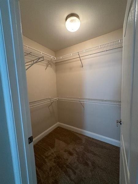 walk in closet featuring carpet flooring