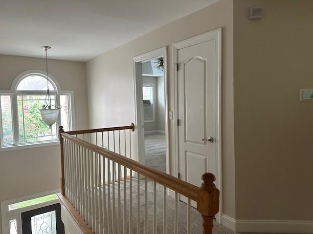 hallway with carpet flooring